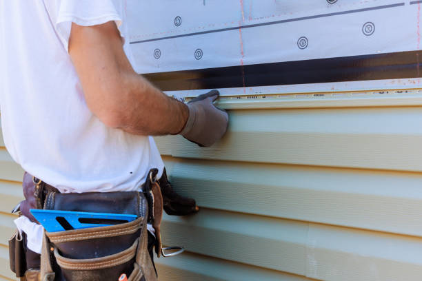 Best Siding Repair  in Schaumburg, IL